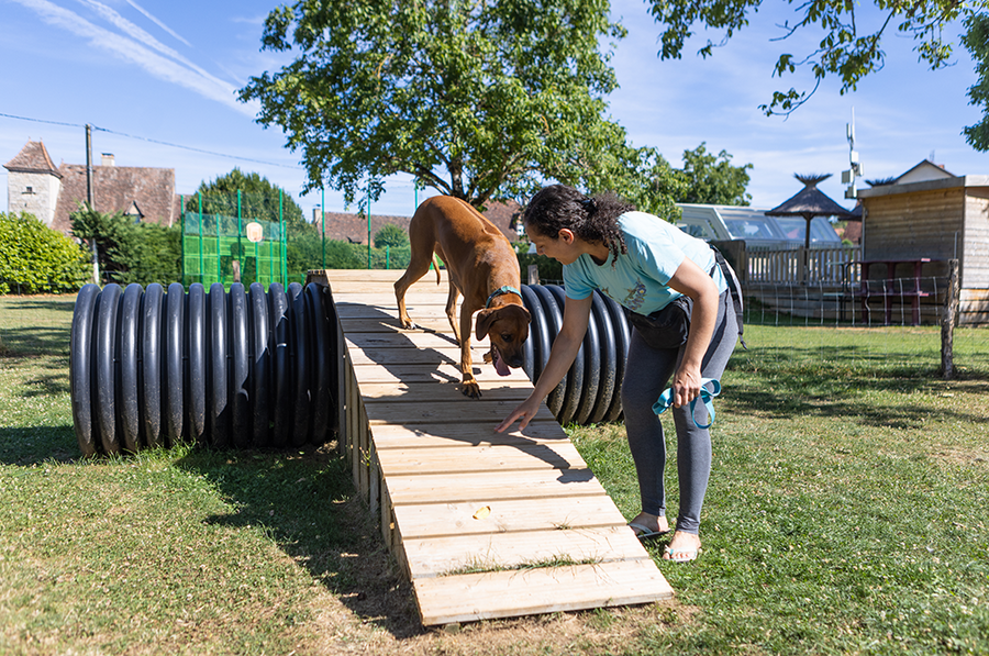 A dog and its owner enjoying a moment of relaxation in a dog park