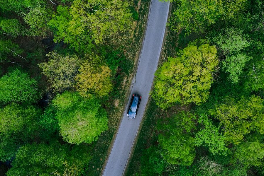 Electric car driving through lush green forest, heading on holiday – perfect illustration for campsites with electric car charging stations.