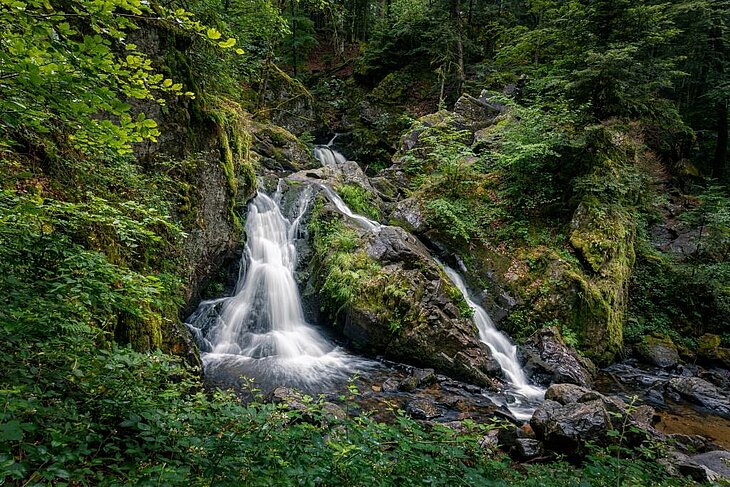 Tendon Waterfall surrounded by lush forest — less than 30 minutes from Corcieux, a nature highlight of tourism in the Vosges.