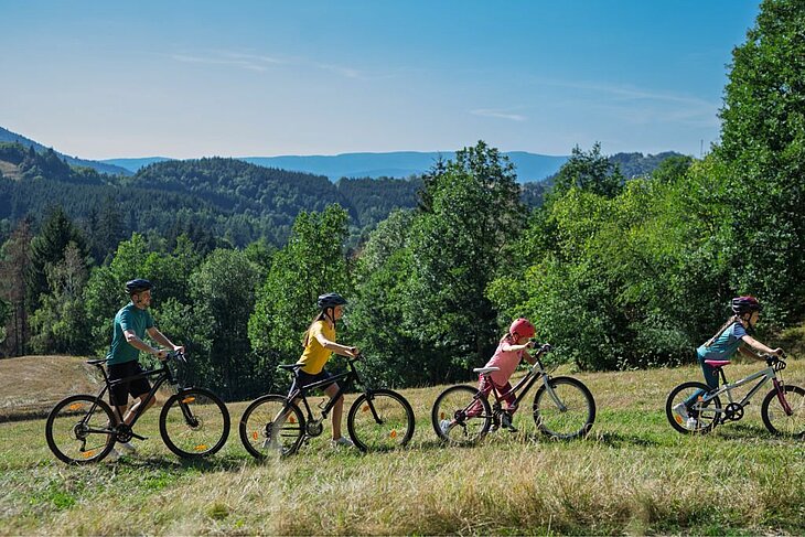 Cycling in the Dordogne Family cycling through lush green countryside near Le Bugue, ideal for a scenic bike ride in the Dordogne.