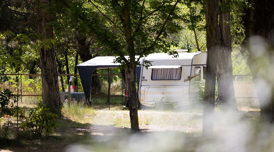 Caravan set on a shaded pitch, surrounded by nature, in a peaceful, green setting.