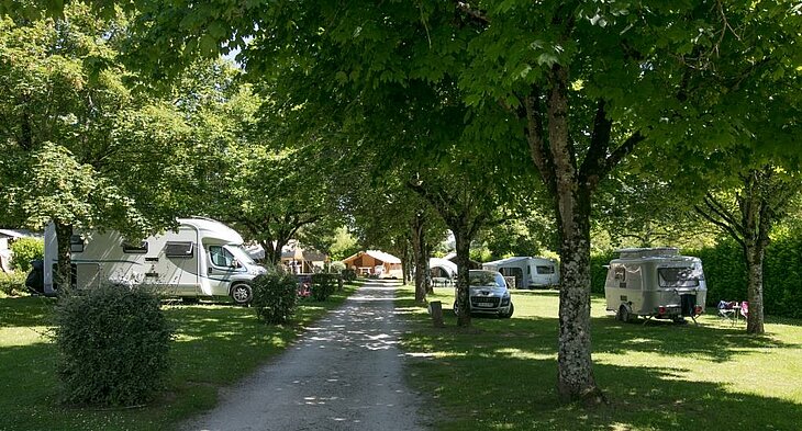 Tree-lined lane with caravans and motorhomes, reflecting a friendly and human-scale campsite.