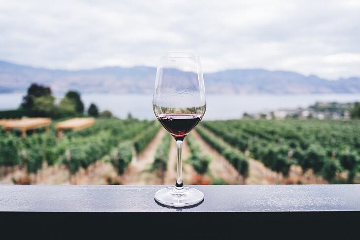 Glass of red wine overlooking the Corbières vineyards, a symbol of a generous terroir to experience during a tourism stay in Lézignan-Corbières.
