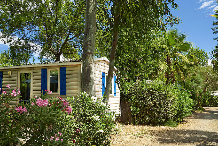 [Translate to Anglais:] 