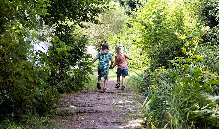 Family nature walk at Au Clos de la Chaume campsite in the Vosges Two children walking along a forest path at Au Clos de la Chaume campsite, a nature idea for what to do in the Vosges with family.