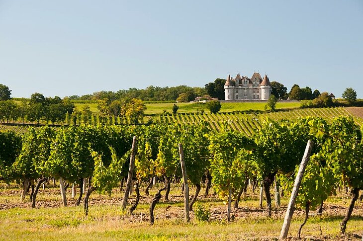 Monbazillac Castle in Dordogne Monbazillac vineyards and castle overlooking the valley in Dordogne, an iconic landmark of tourism in Nouvelle-Aquitaine.