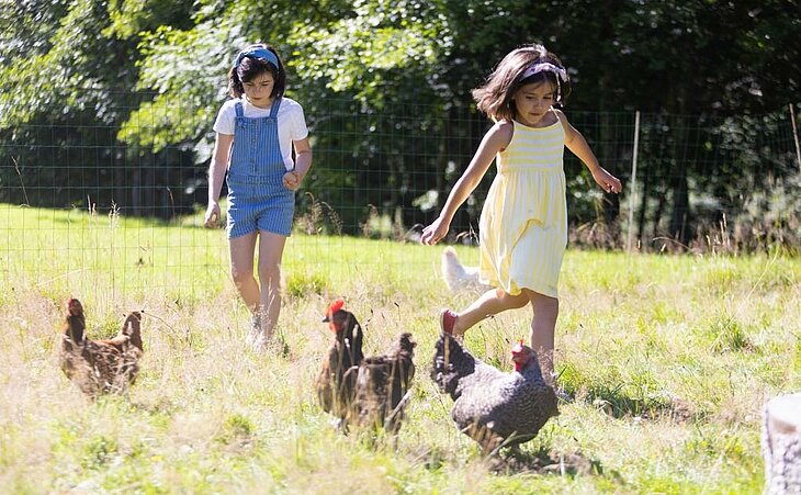 Two children playing near hens in a sunny field, symbolizing authentic connection with nature at Sites et Paysages campsites.