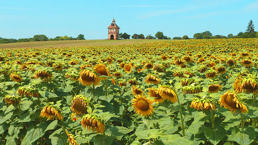 [Translate to Anglais:] 