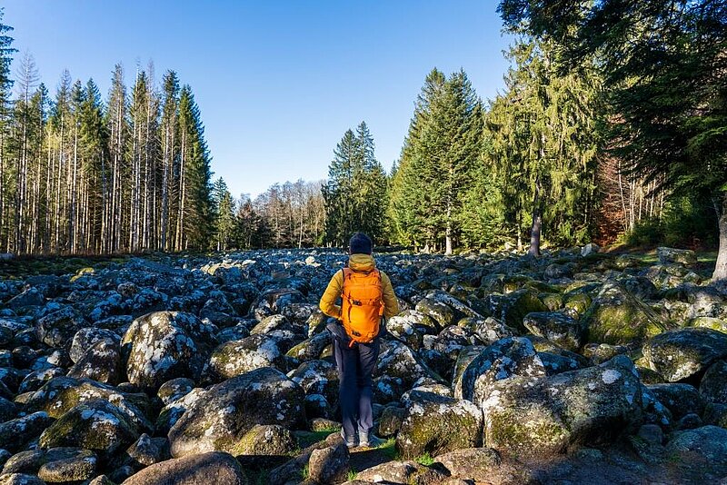 Corcieux Travel Guide: What to Do, See and Where to Camp in the Vosges ?