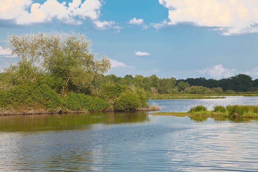 Peaceful view of a typical Sologne lake, surrounded by greenery, near a campsite in the Loiret.
